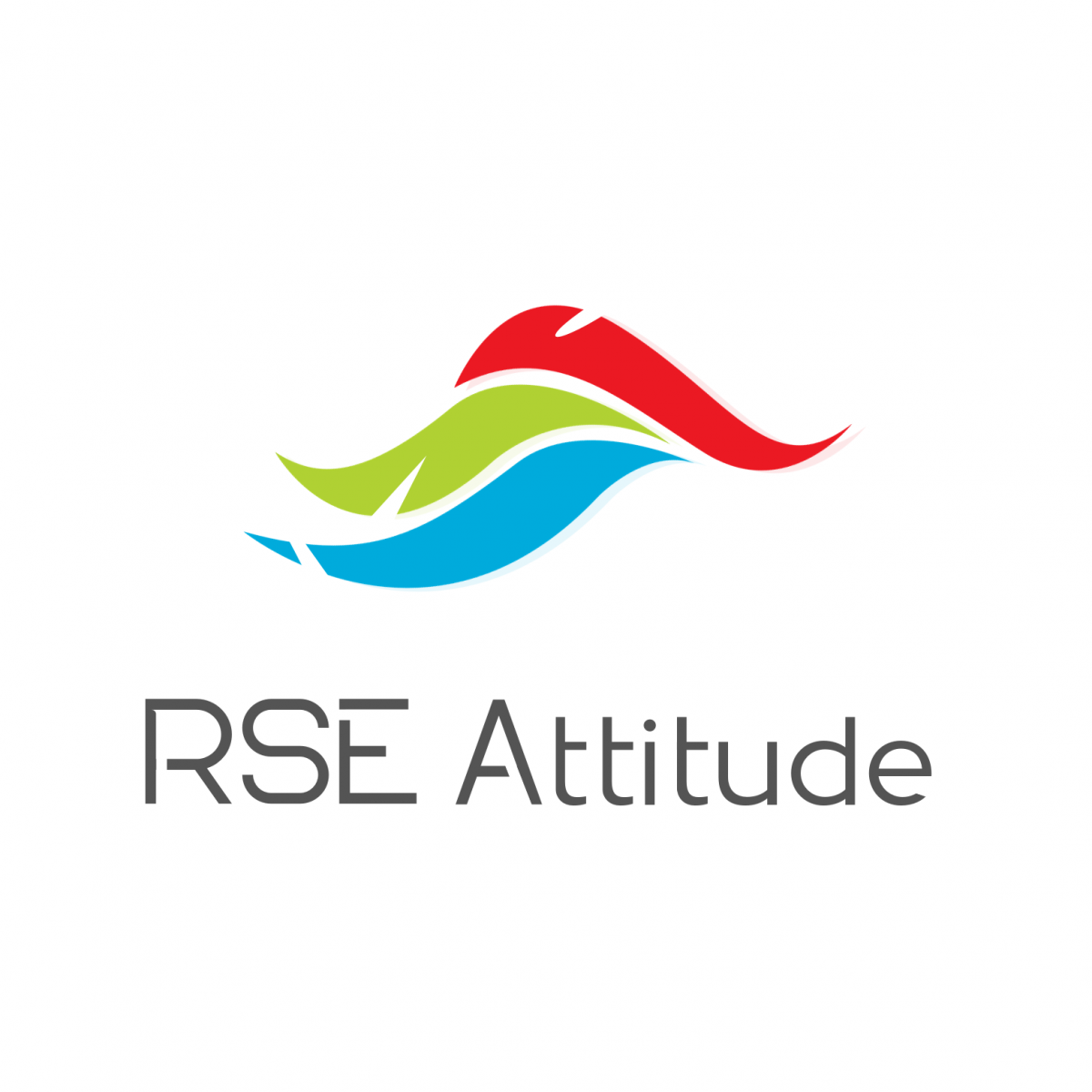 RSE ATTITUDE